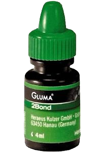 s-l300 Gluma2 bond БФ