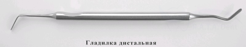 гладилка дистальная