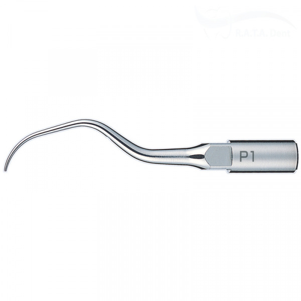 Насадка к скалерам Varios № P1