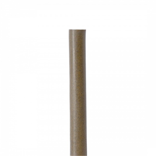 P1101