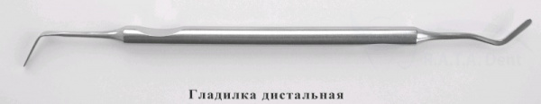 гладилка дистальная