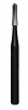 Talon10SS