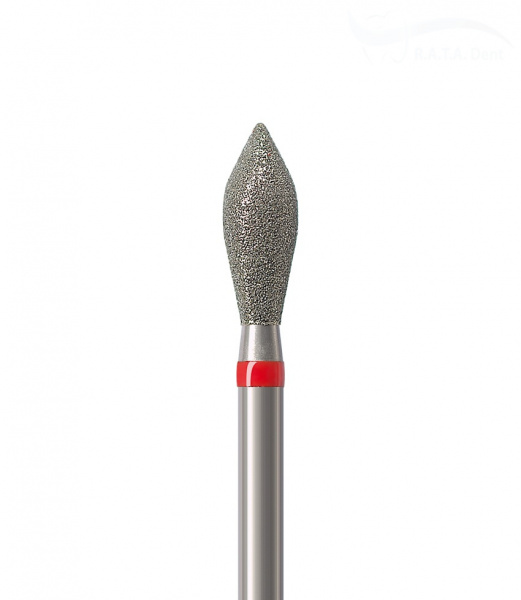 899-027 F-4-палатинальный